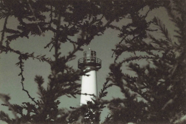 A lighthouse framed by dark branches