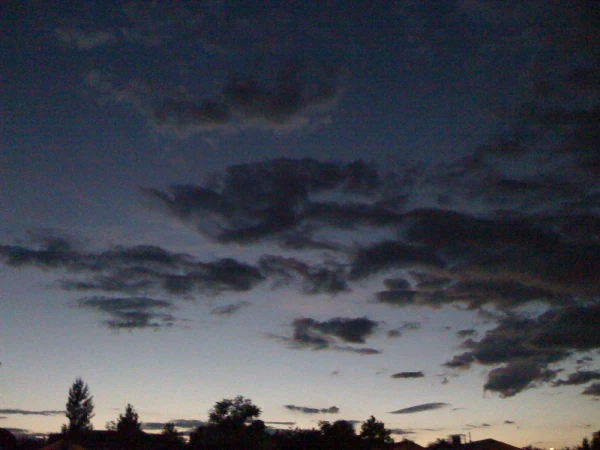 Dark clouds at dusk over a tree line
