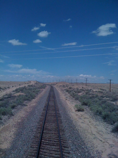 Railroad tracks running to the horizon